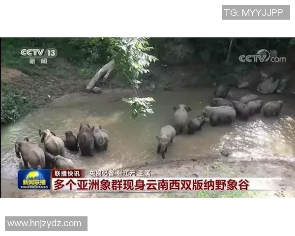 拥抱足球明星的背后故事与他们的传奇人生解析