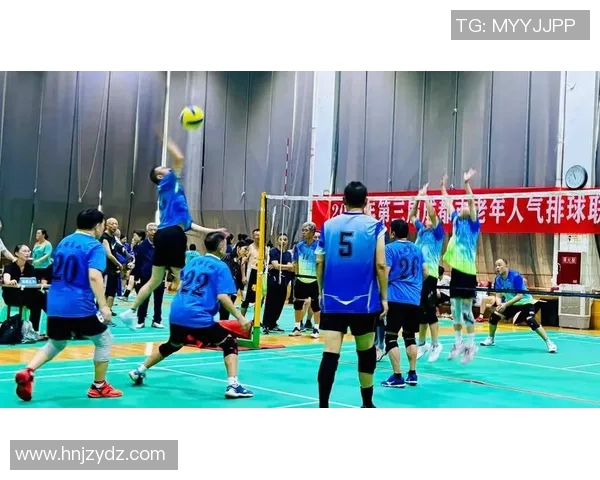 排球盛宴揭秘成都排球队背后的力量与荣耀之路