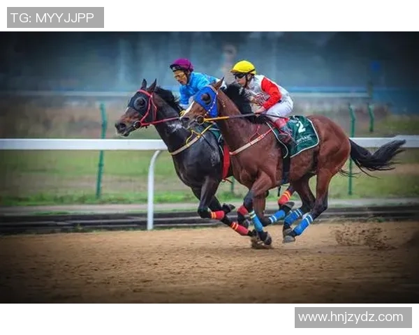 武汉乒乓球队速度对比分析揭示训练方法与技术提升的奥秘