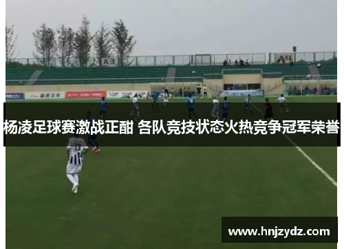 杨凌足球赛激战正酣 各队竞技状态火热竞争冠军荣誉